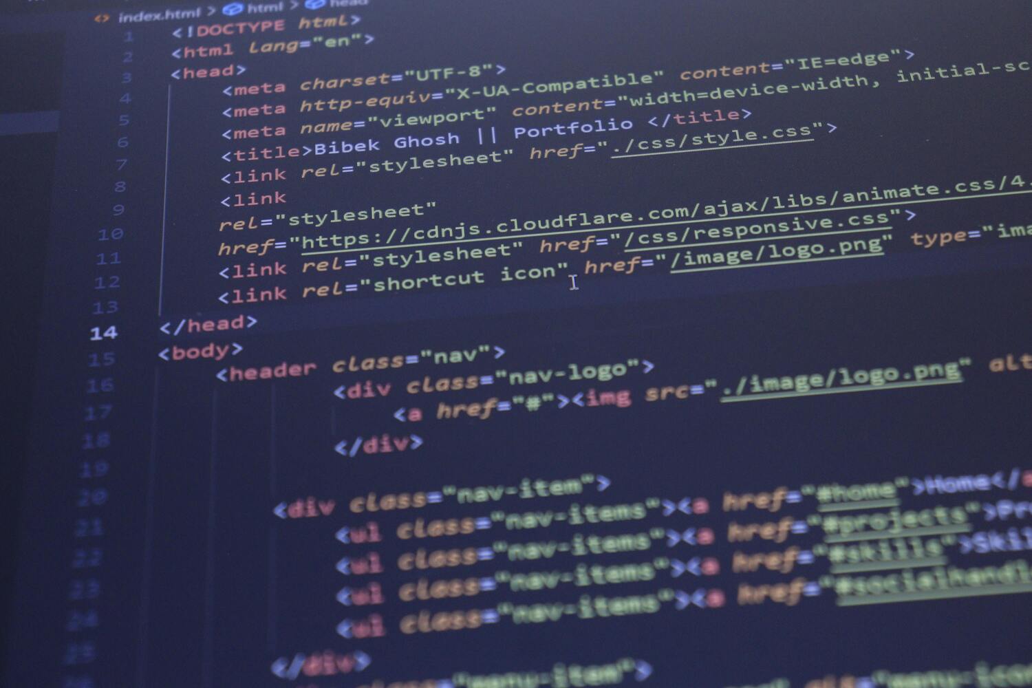 Desarrollo web personalizado